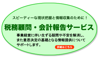 税務顧問・会計報告サービス